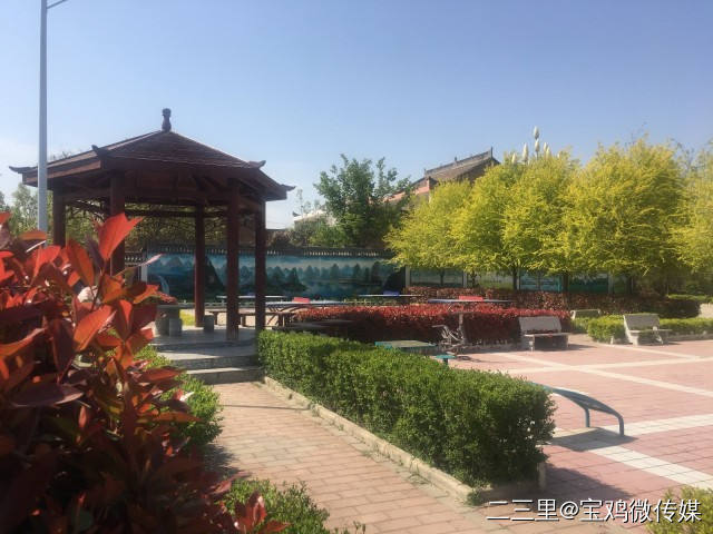 扶风杏林镇:美丽乡村入画来 奏响振兴"交响曲"|杏林镇|扶风县|杨家沟