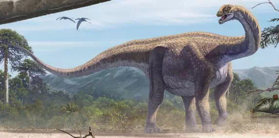 每天一只中国龙续篇9巧龙用膳自备汤勺