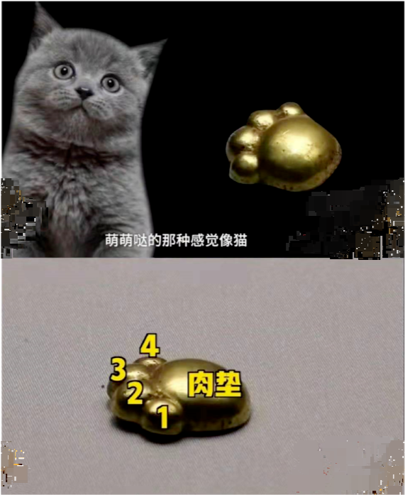 2700年前的山西猫爪金饰出土 山西猫铺人 祖传的爱猫文化我骄傲 腾讯新闻