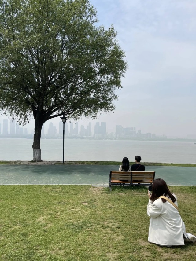 武汉那棵孤独又灿烂的树怎么就爆红了