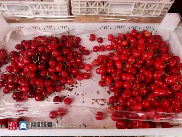 价格公布！最低55元/斤！这种水果青岛上市了！_腾讯新闻