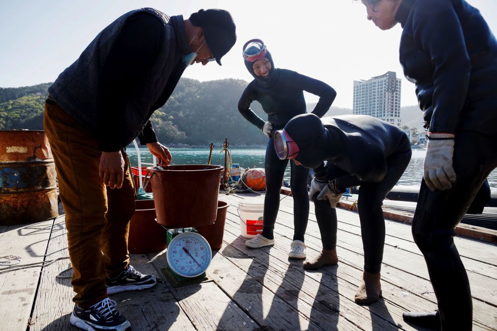 沿袭数百年传统何去何从韩国海女群体生存现状