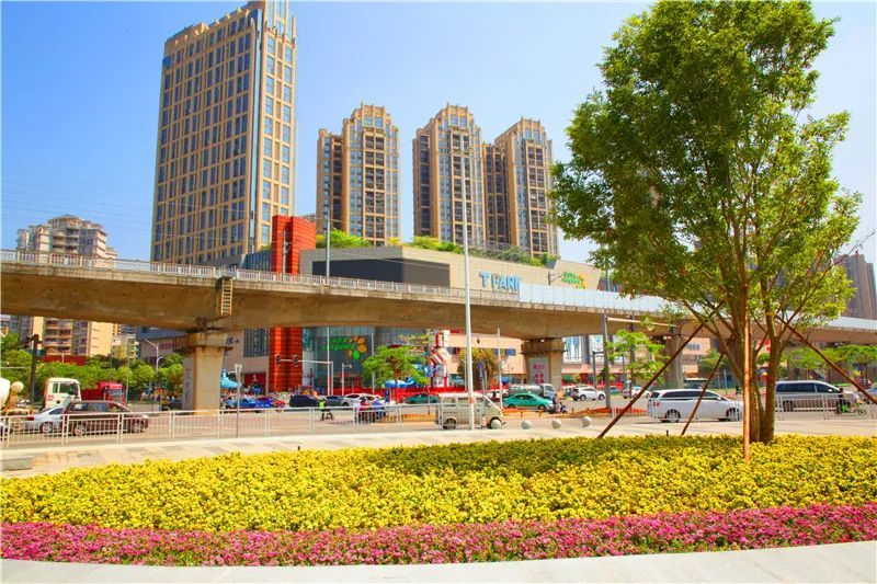 目前,仲恺大道其他路段也正在紧锣密鼓施工中预计5月初能完成全线绿化