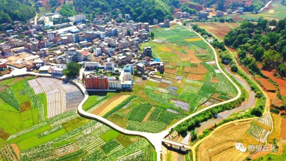 丘北平寨全面推动爱卫创卫和人居环境整治提升工作