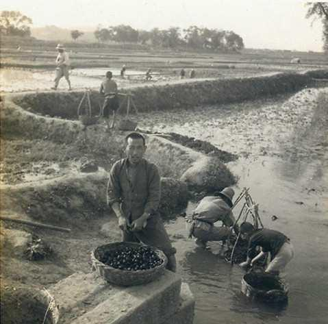百年党史雨花记忆长沙近郊区农民协会的组建