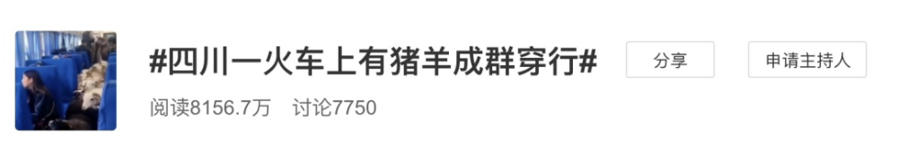 四川一火车上有猪羊成群穿行(图2)