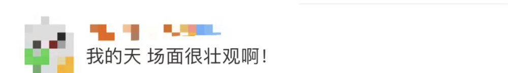 四川一火车上有猪羊成群穿行(图3)