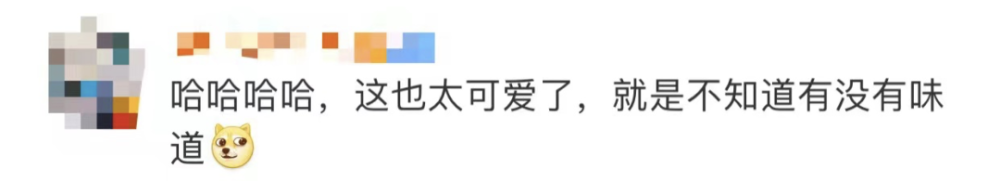 四川一火车上有猪羊成群穿行(图5)