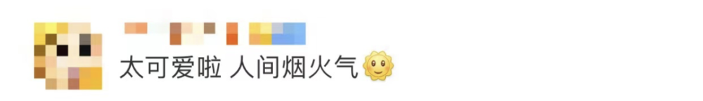 四川一火车上有猪羊成群穿行(图7)