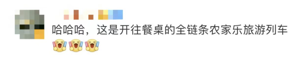 四川一火车上有猪羊成群穿行(图9)