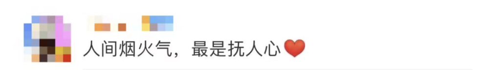 四川一火车上有猪羊成群穿行(图10)