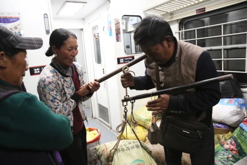 四川一火车上有猪羊成群穿行(图12)