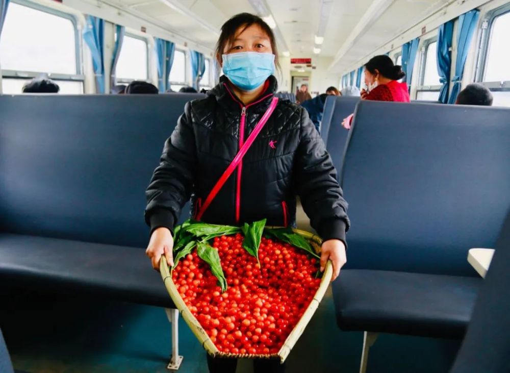 四川一火车上有猪羊成群穿行(图13)