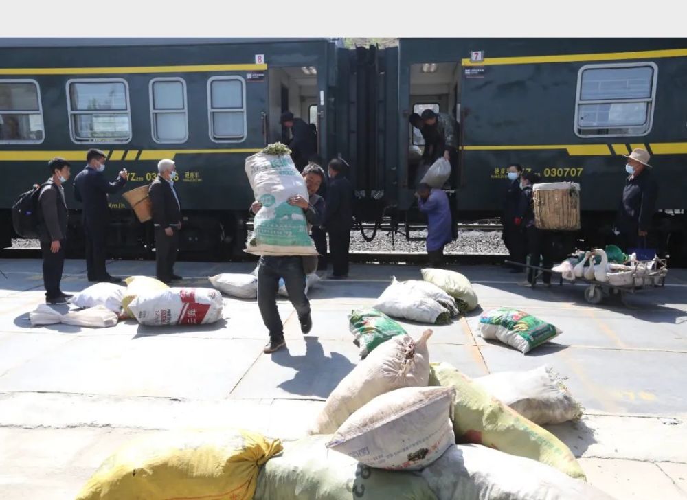 四川一火车上有猪羊成群穿行(图15)