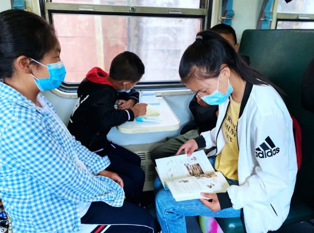 四川一火车上有猪羊成群穿行(图16)