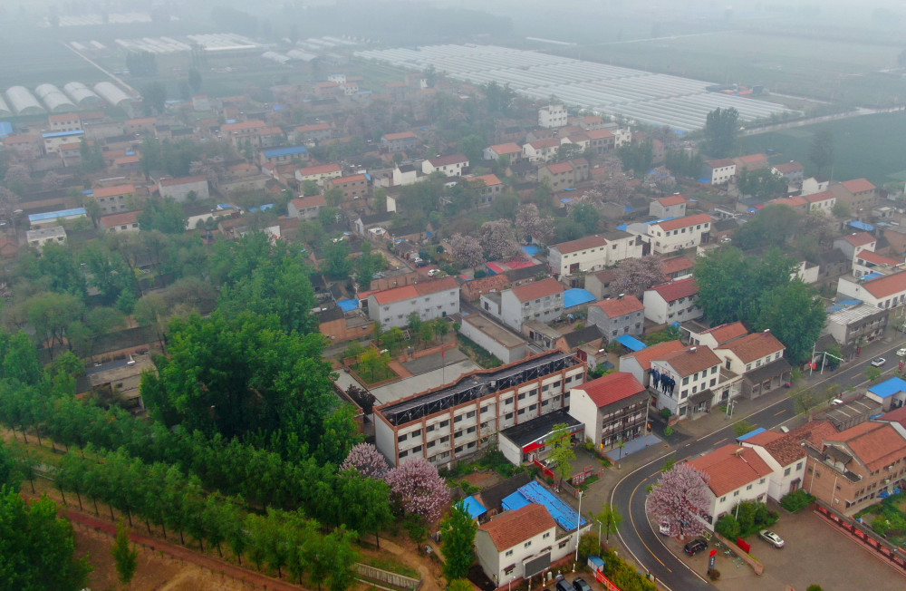 新华社记者 郝源 摄4月20日,在兰考县张庄村,村民在民宿"梦里张庄"院