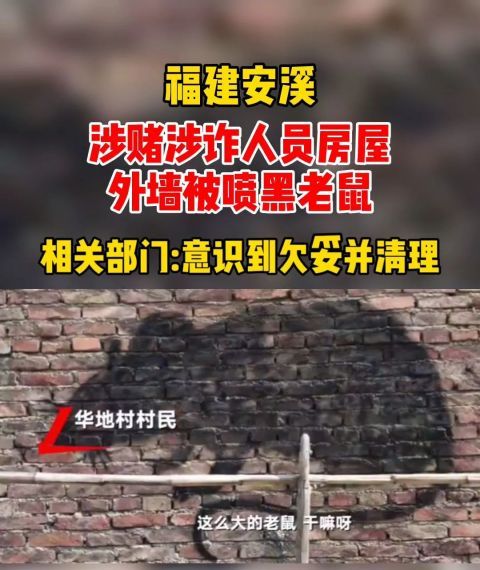 涉赌涉诈安溪6家人房外被喷涂黑老鼠目前已被清理