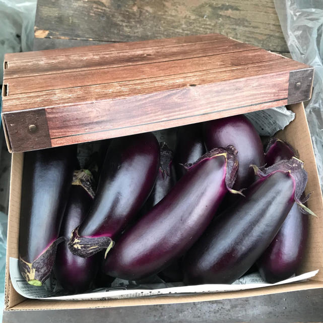 茄子常见品种长短肥瘦最佳保存方法建议