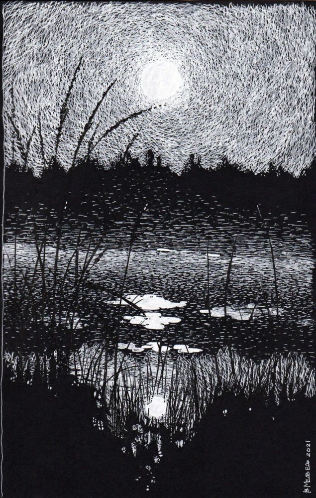 打破常规,这位"大神"用白笔在黑纸上画超写实,视觉