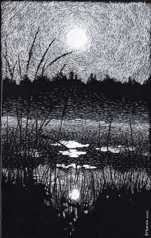 打破常规这位大神用白笔在黑纸上画超写实视觉冲击太强了