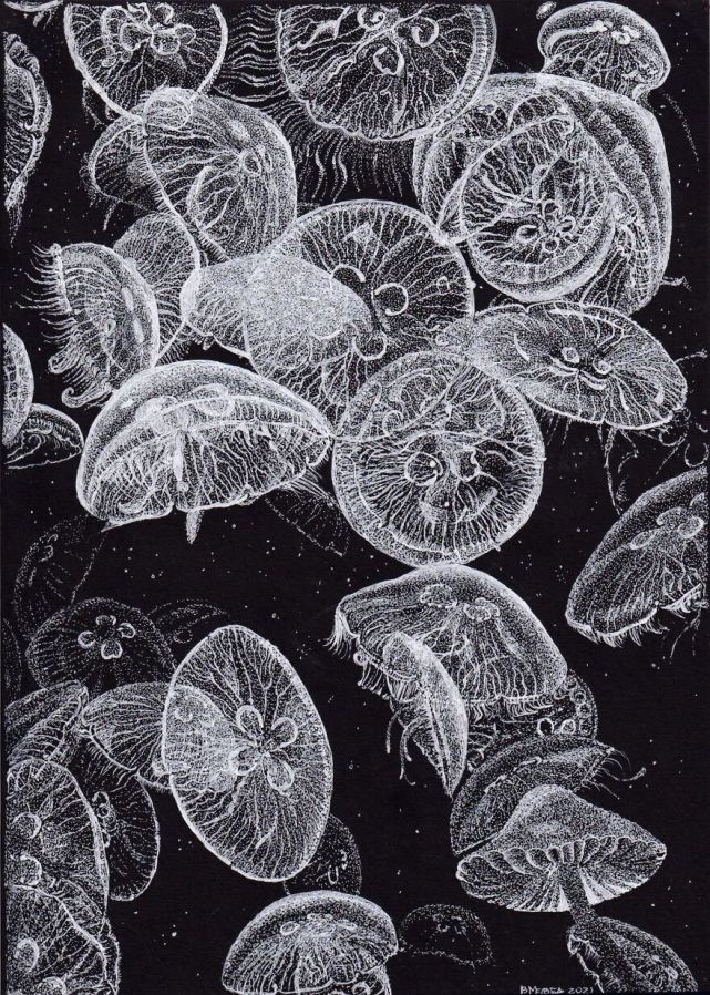 打破常规,这位"大神"用白笔在黑纸上画超写实,视觉冲击太强了