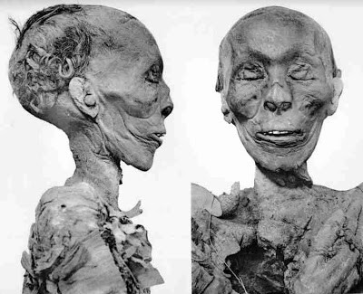 图特蒙斯三世的木乃伊保存很不完整最初,人们测得他的身高大约在160cm