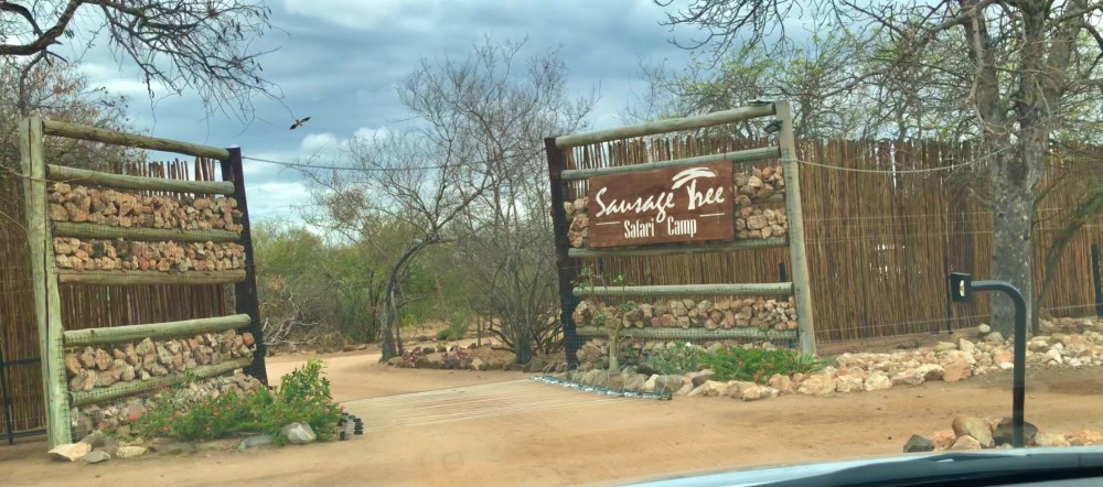 仙妮亚是美国人,她和英裔南非丈夫马修(matthew)一起在克鲁格国家公园