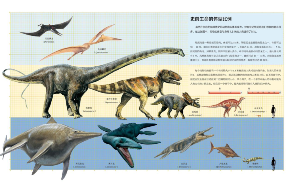 好书推荐|中外科学家联手打造的《世界恐龙完整指南》
