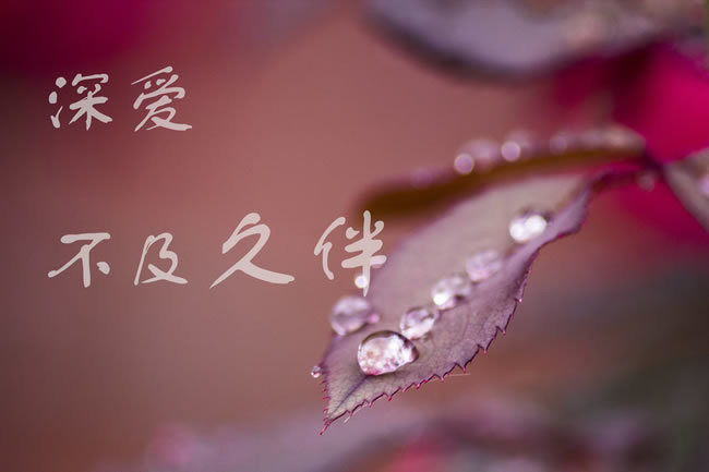 一句话的秀恩爱心情说说