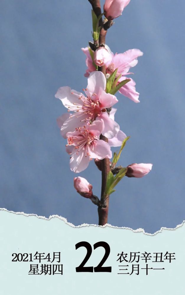日历2021年4月22日星期四