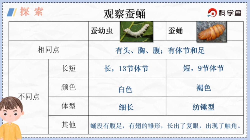 科学鱼网课三年级下蚕变了新模样