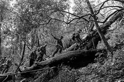 高黎贡山国家级自然保护区泸水专职巡护队队员在山间巡逻