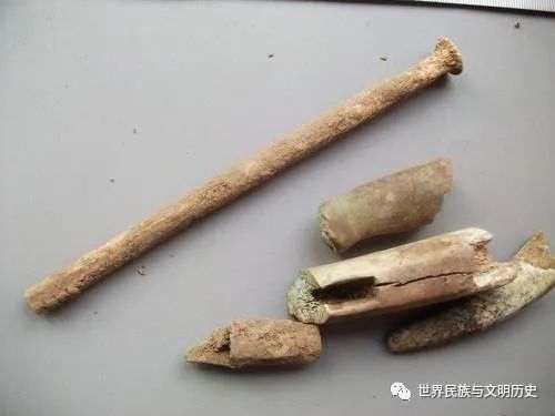 主要發現在大型墓地中,如陝西的鬥雞臺,張家坡,茹家莊,甘肅的白草坡