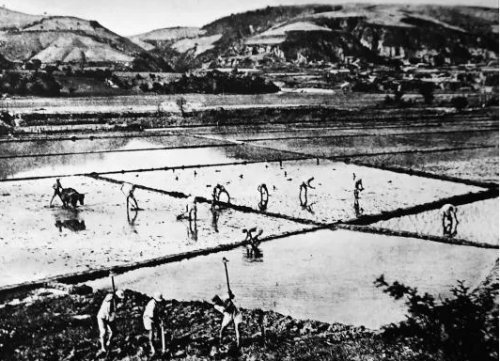 南泥湾何以与往年不一般看完你就明白了