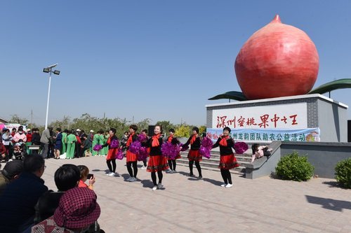 深州桃花节图片图片