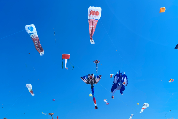 潍坊学院代表队获第38届潍坊国际风筝会优秀放飞表演奖