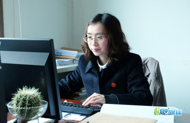 政法队伍教育整顿先进典型贺志平外柔内刚的汨罗首位女执行法官