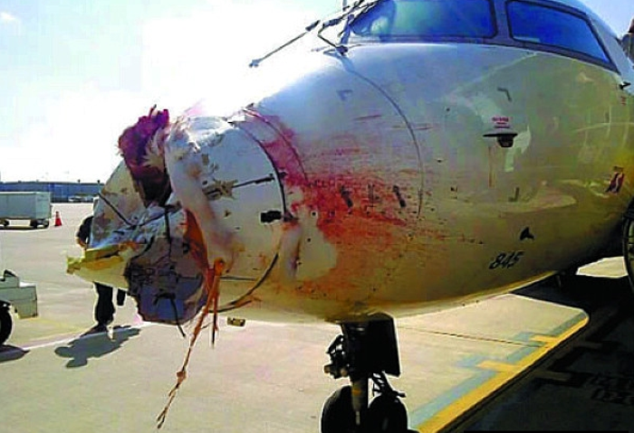 飞机刚起飞25秒,发动机吸入一只飞鸟,13名军队高官惨死