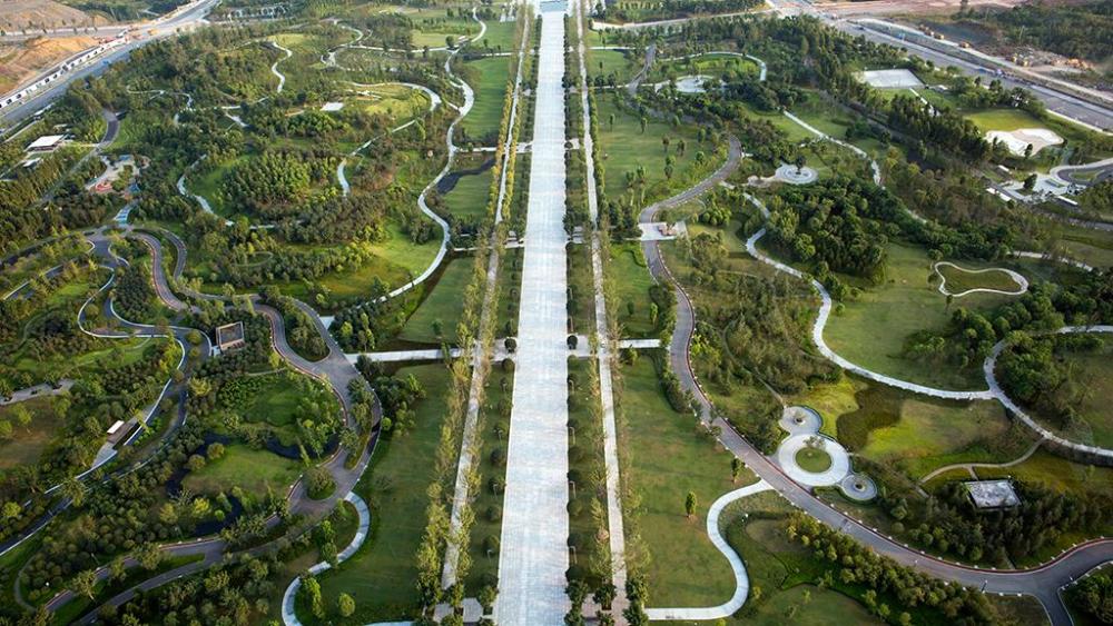 中央公园是重庆内部的中心公园城市,此地建设的草坪居多,很适合那些