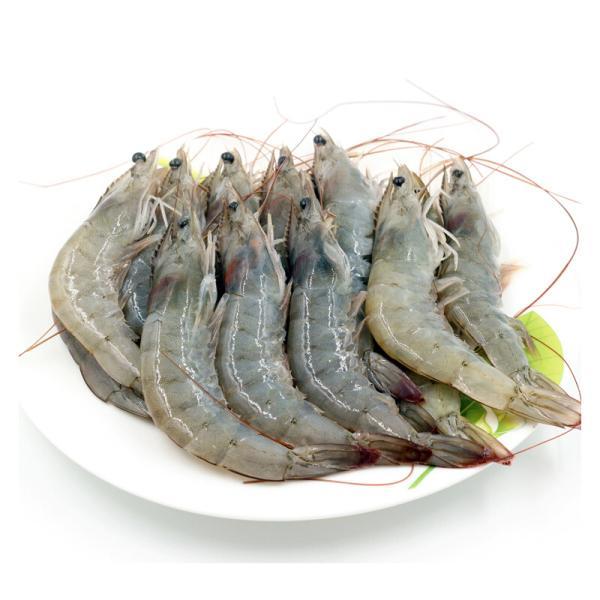 买虾,只看弯不弯就错了,记住这"4点",都能买到新鲜大虾_腾讯新闻