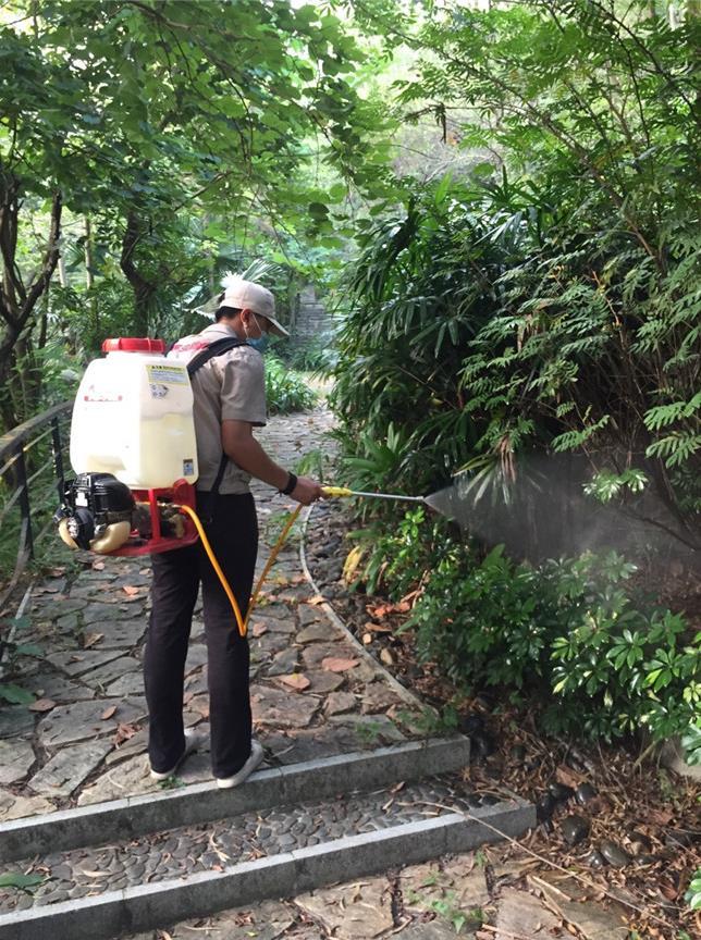 林草科普城市园林中白蚁怎么防治