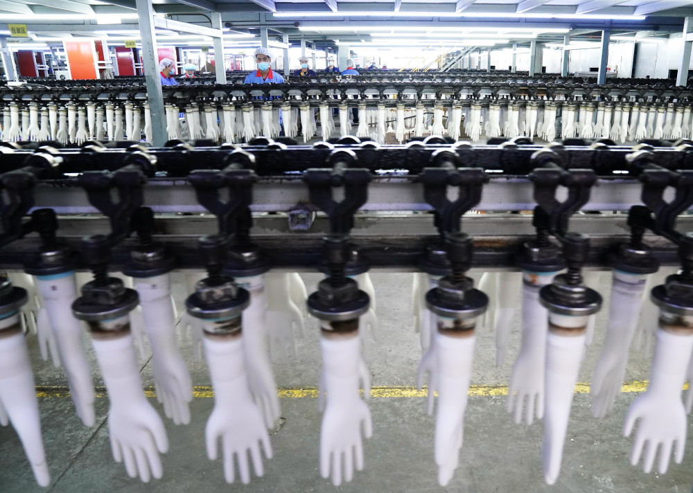 (经济)河北滦南:打造医用手套产业生产基地