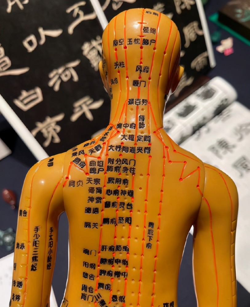 孙俪入手针灸人体模型邓超直言想逃跑家庭地位成危机