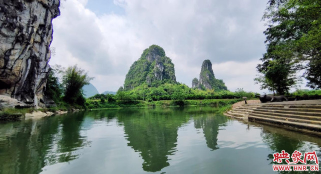 【文旅桂林行】荔江灣口路悠然 一徑穿林入翠煙|荔江灣|文旅|桂林|竹