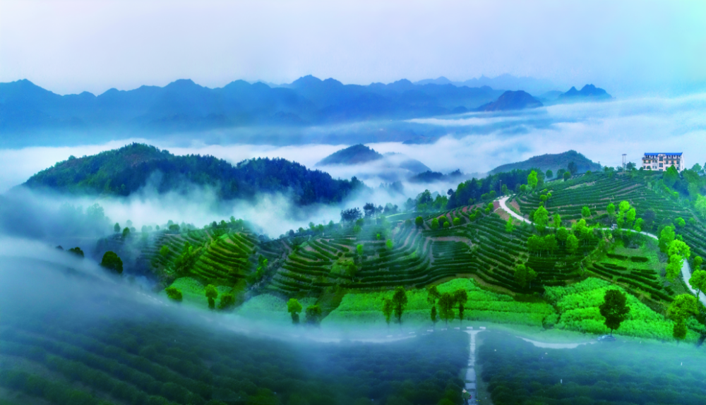 贡茶排行_最受日本人欢迎的珍珠奶茶排行贡茶位列第一