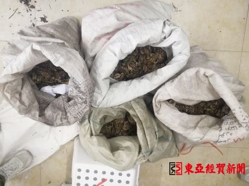 黄泥河森林公安局破获系列非法狩猎案 收缴中华蟾蜍活体1321只