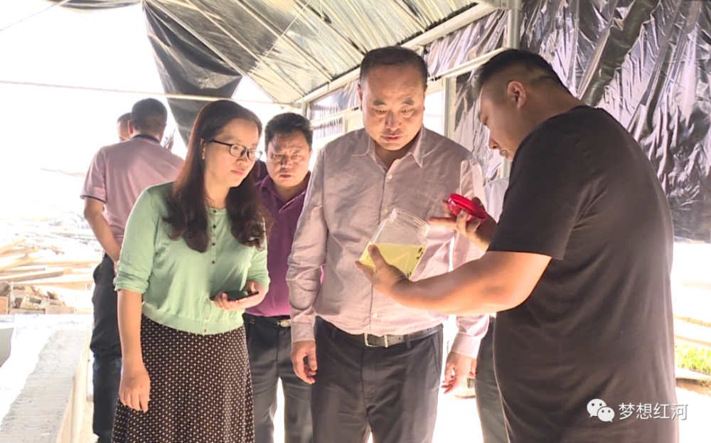 张智俊专题调研红河县种养殖产业发展情况