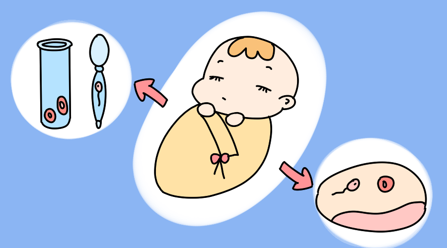 二胎母亲诞三胞胎的小说叫什么名字