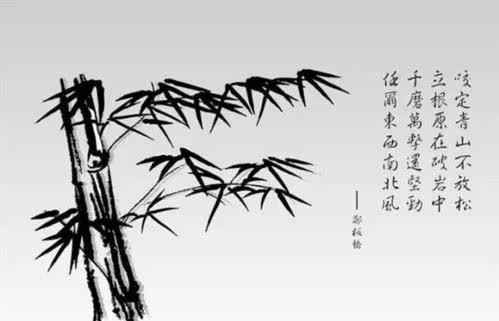 郑板桥与竹,正义凛然,一心为民|苏轼|郑板桥|竹子|竹|竹石