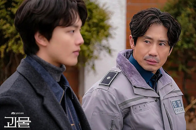 吕珍九申河均主演的电视剧怪物剧情合乎逻辑演员演技精湛